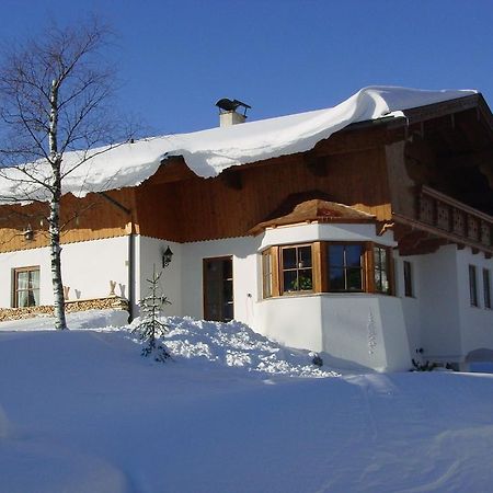 Ferienwohnung Irmgard Steinberg am Rofan Экстерьер фото